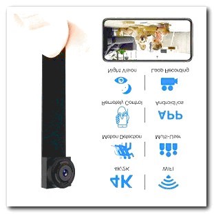 Hidden Camera Dog Piano